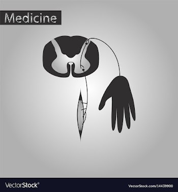 Black and white style icon of reflex arc vector image