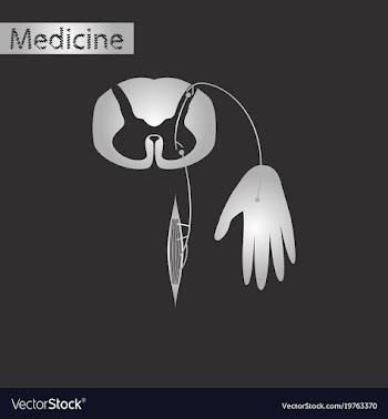 Black and white style icon of reflex arc vector image