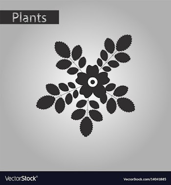 Black and white style icon of rosa majalis vector image