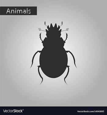 Black and white style icon of scarab vector image