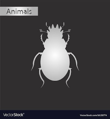 Black and white style icon of scarab vector image