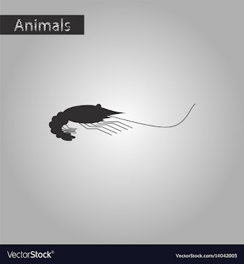 Black and white style icon of shrimp vector image