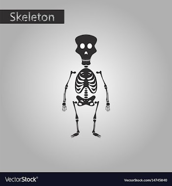 Black and white style icon of skeleton stick vector image
