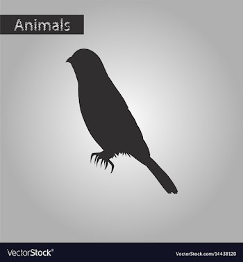 Black and white style icon of sparrow vector image
