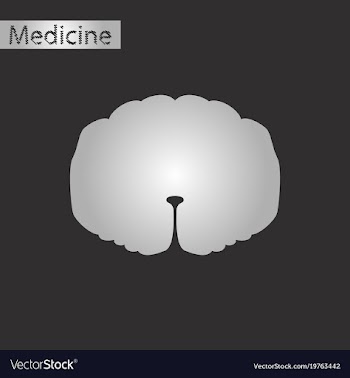 Black and white style icon of spinal cord vector image
