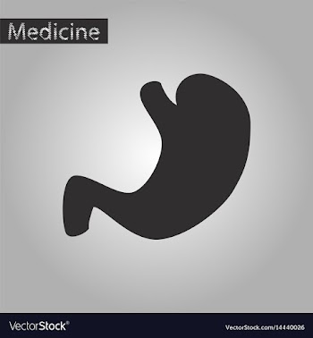 Black and white style icon of stomach vector image