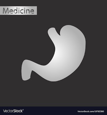 Black and white style icon of stomach vector image