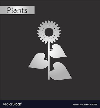 Black and white style icon of sunflower vector image