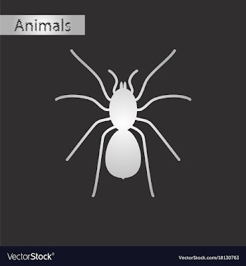 Black and white style icon of tarantula vector image