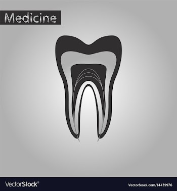 Black and white style icon of tooth vector image