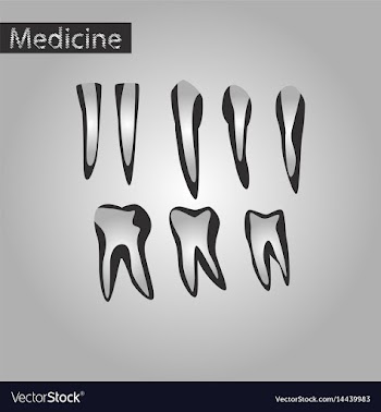 Black and white style icon of tooth vector image