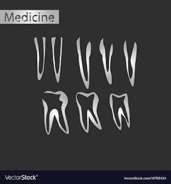 Black and white style icon of tooth vector image