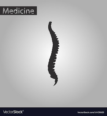 Black and white style icon of vertebral column vector image