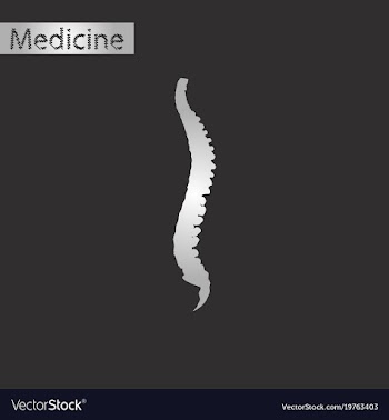 Black and white style icon of vertebral column vector image