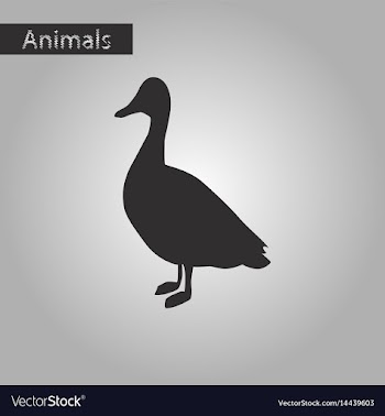 Black and white style icon of wild duck vector image