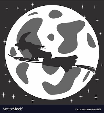 Black and white style icon of witch on broomstick vector image