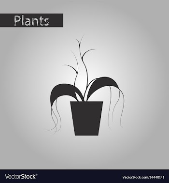 Black and white style icon plant in a pot vector image