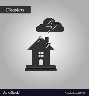Black and white style lightning house vector image