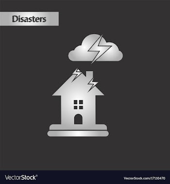 Black and white style lightning house vector image