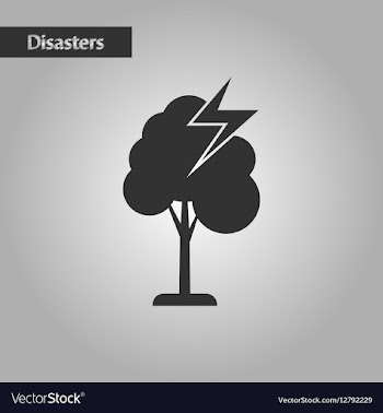 Black and white style lightning tree vector image