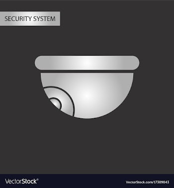 Black and white style security camera vector image