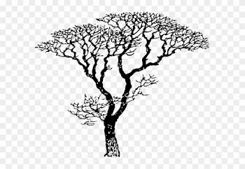 Black And White Tree Drawing