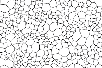 Black and White Voronoi Diagram Pattern