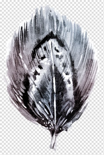 Black and white Watercolor painting Feather, Hand-painted feathers transparent background PNG clipart