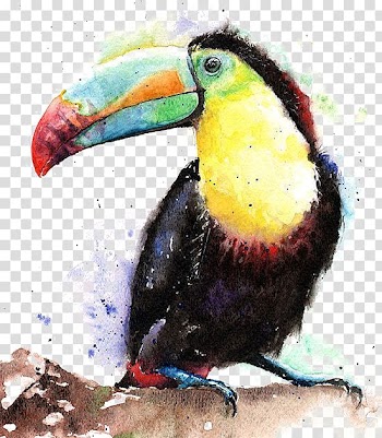 Black and yellow toucan bird painting, Bird Keel-billed toucan Watercolor painting, Watercolor parrot transparent background PNG clipart