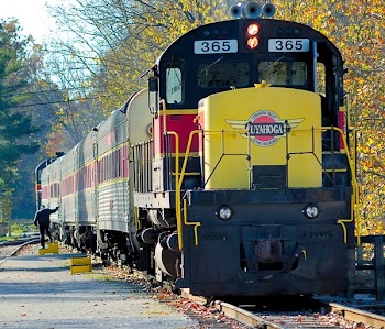 Black and Yellow Train Near Green Trees during Daytime