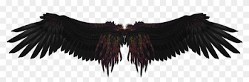 Black Angel Wings Png Background Image - Dark Angel Wings ...