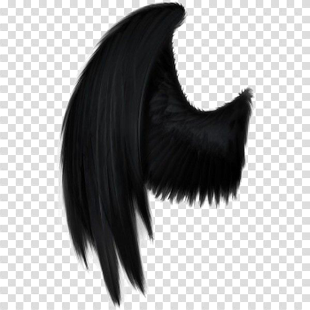 Black Angel Wings PNG Picture