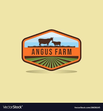 Black angus logo design farm badge logo design vector image