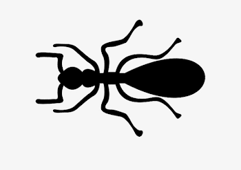 Black Ants Simple Pen, Ant, Black Ants, Stick Figure PNG Image and ...