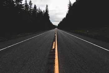 Black Asphalt Road Between Trees
