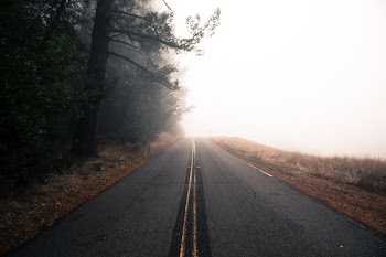 black asphalt road near tree