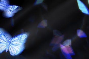 Black background, blue butterfly, aesthetic | Free Photo - rawpixel