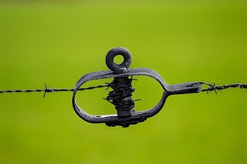 Black Barbwire