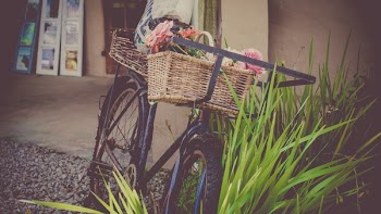 Black Beach Cruiser Bike Leaning on Wall