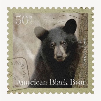 Black bear postage stamp, animal | Free PSD - rawpixel