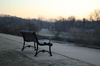 black bench on concrete pavement