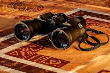 Black Binoculars in Maroon and Beige Textile