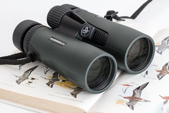 Black Binoculars on Book