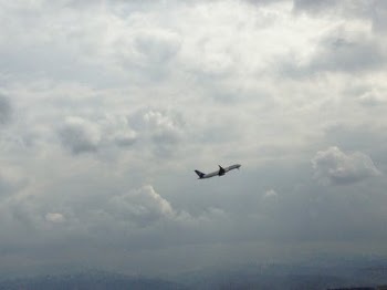 Black Bird Flying Under White Clouds · Free Stock Photo