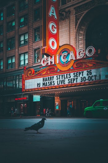 Black Bird Near Building