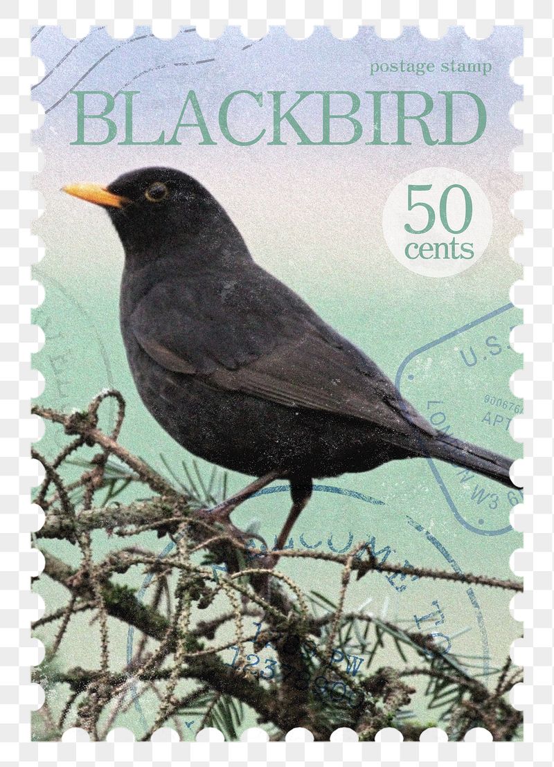 Black bird png post stamp | Free PNG - rawpixel