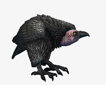 Black Bird Vultures, Bird Clipart, Vultures, Png Picture PNG Image ...
