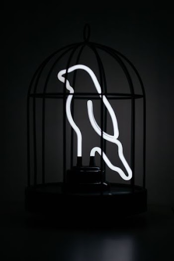 black birdcage and lighted bird decoir