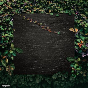 Black board in a bush | Free stock psd mockup - 599767