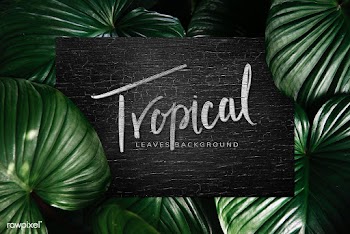 Black board with leaves | Free stock psd mockup - 599779